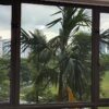 invisible window grilles